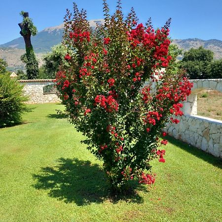 Willa Antica Casa Scardone Piedimonte San Germano Zewnętrze zdjęcie